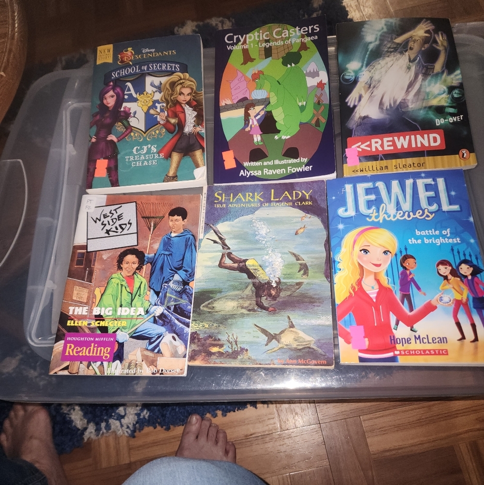 6 BOOK GRAB BAG OF BOOKS FOR TEEN READERS